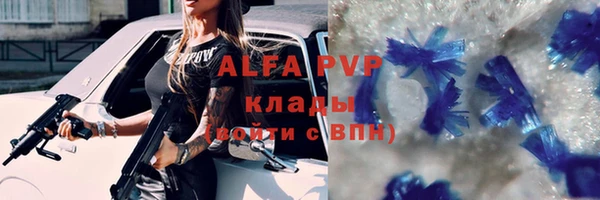 дживик Богородицк