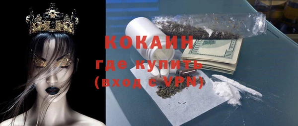 дживик Богородицк