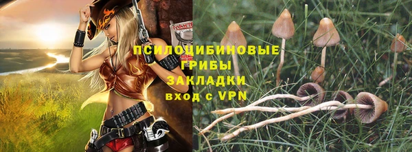 дживик Богданович