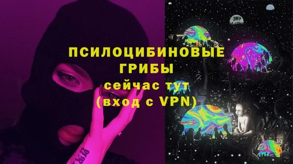дживик Богданович