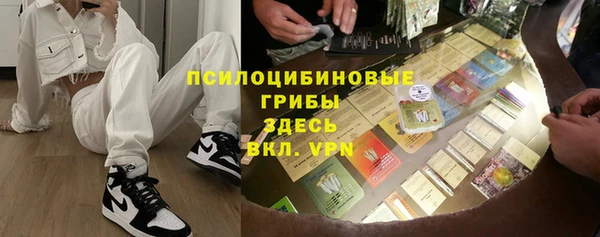 дживик Богородицк