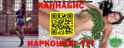 дурь Пугачёв