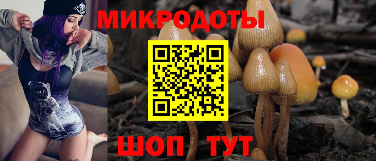 Псилоцибиновые грибы Psilocybine cubensis Реж